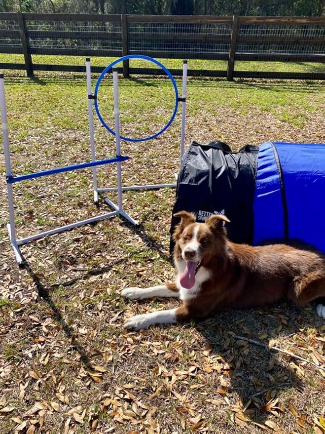 Better Sporting Dogs Agility Course Backyard Set - 7pc Indoor and Outdoor Agility Training Equipment for Dogs - 3 Jumps - 2 Tunnels with Sandbags - Weave Poles for Dog Obstacle Training