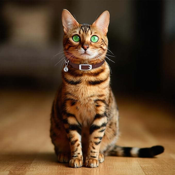 OOPSDOGGY Rolled Leather Cat Collar with Bell, Reflective Kitten Collars with Buckle Include Safety Elastic Strap - Adjustable Small Pet Collars for Boy Girl Cats (Brown)