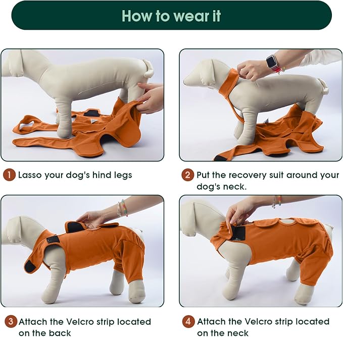 Kuoser Recovery Suit for Rear Legs, Thigh Wound Protective Sleeve, Recovery Sleeve for Female Male Dogs, Onesie After Surgery, Pet Surgical Suit for Spay Neuter, Brown M