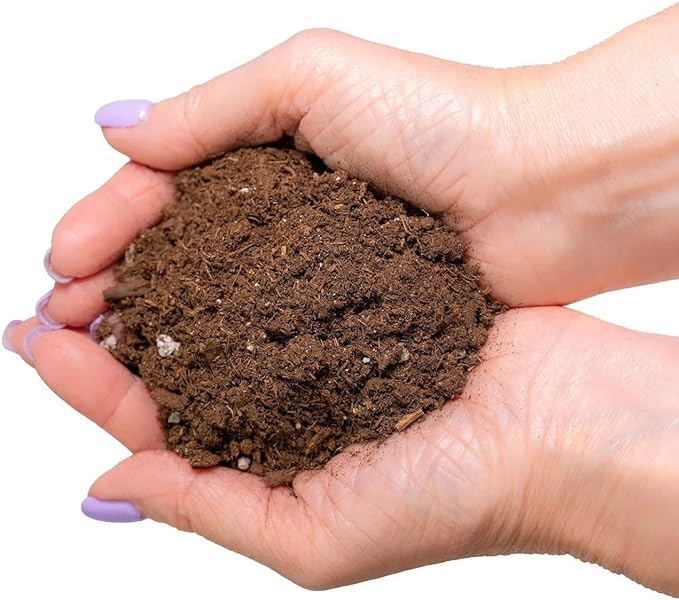 GARDENERA Premium Dracaena Potting Soil Mix - (1 Quart Bag)