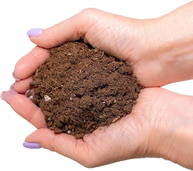 GARDENERA Citrus Tree Potting Soil Mix, Special Blend for Indoor Oranges, Lemons, Limes and More - (5 Quart Bag)