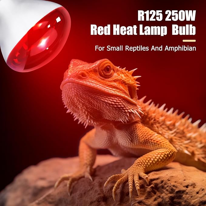 250W Infrared Heat Lamp for Chicken, Red Heat Light Bulb R125 2 Pack, Heat Lamp Bulb for Chick Croop, Reptiles, Pets, Food