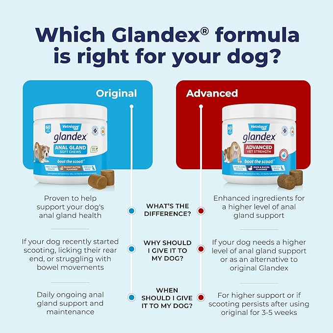 Vetnique Labs Glandex Anal Gland Soft Chew Treats with Pumpkin for Dogs Digestive Enzymes, Probiotics Fiber Supplement for Dogs Boot The Scoot (Bacon/Pork Chews, 30 Count)