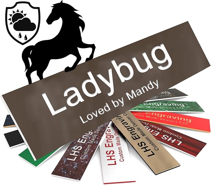 Personalized Horse Stall Name Plates, 2x10 Horse Stall Signs with Adhesive, All Weather UV Protected, Brown Plastic White Letters - Made in USA - B25