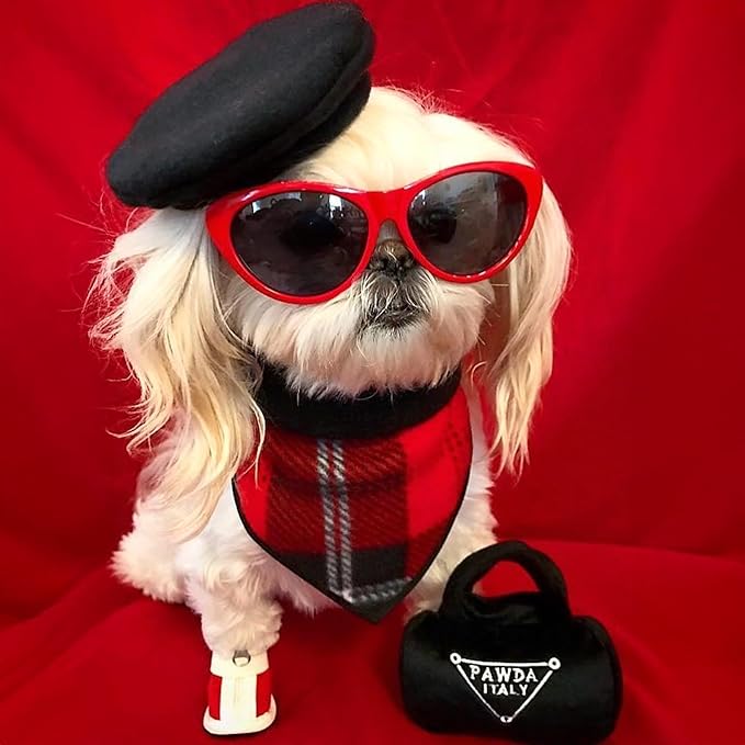 Haute Diggity Dog Pawda Handbag, Plush Designer Dog Toys with Interactive Squeaker, Stimulating Pet Enrichment - Dog Birthday Toy - Machine-Washable & Safe Materials for All Breeds, Size Small