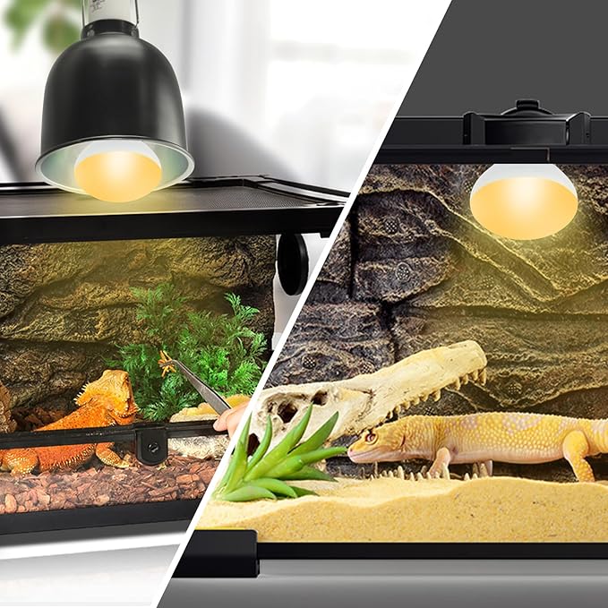 LUCKY HERP Heat Lamp Bulbs, 40W Reptile Heat Lamp 2 Pack Reptile Heat Lamp Bulbs, Daylight Basking Spot Heat Light Bulb, Amphibians Lamp Bulbs for Chameleons, Snakes, Lizard, Turtle