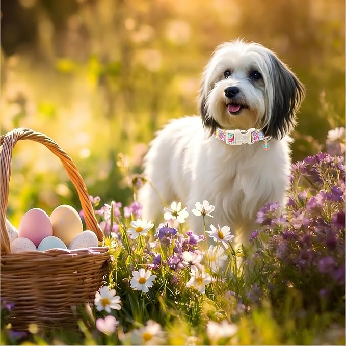 Easter Dog Collar for Puppy Small Dogs - Colorful Bunny Print Easter Collar for Male Female Dogs, Lightweight Adjustable Spring Holiaday Dog Collars with Quick Release Buckle XS