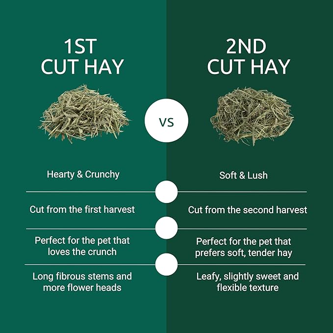 Kaytee First Cut Timothy Hay, High Fiber, Grown Specifically for Small Animals, Rabbits, Guinea Pigs, Chinchillas, 6.5 Pounds