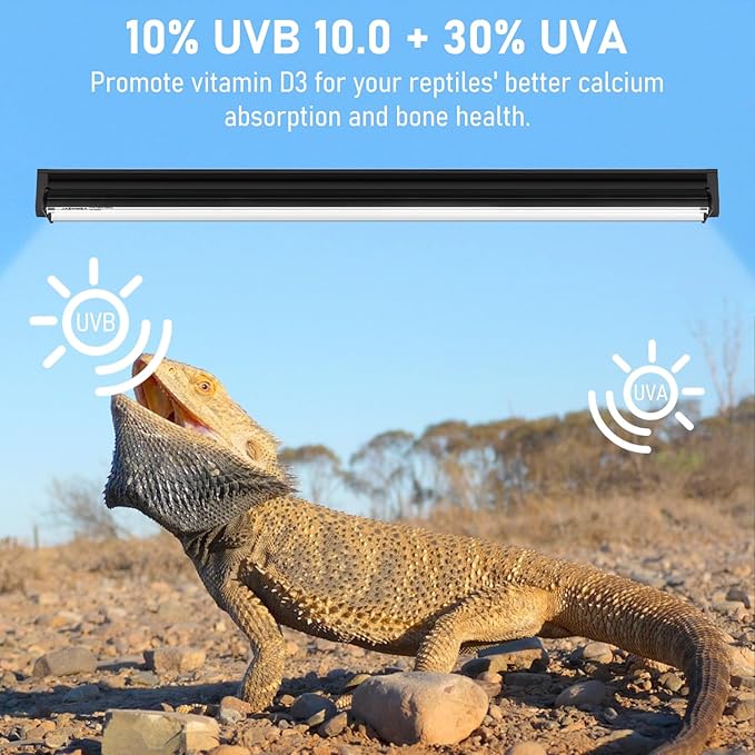 T5 10.0 UVB Light Blubs for Bearded Dragon,UVA UVB 10.0 T5 HO Reptile Ligh Bar Bulbs 39W 34 inch for Desert Lizards,Leopard Gecko,Tortoise,Reptile & Amphibian Replacement Lamp Bulb 2 Pack