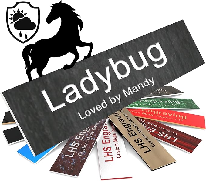 Personalized Horse Stall Name Plates, 2x12 Horse Stall Signs with Adhesive, All Weather UV Protected, Ash Plastic White Letters - Made in USA - N1