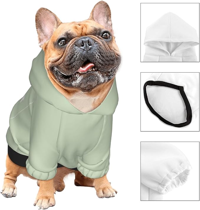 Personalized Chihuahua Dog Hoodie, Custom Pet Warm Sweatshirt Costume with Name Number Photo, Customize ID Clothes for Pupppy Kitten Dogs Cats, LightGreen, XS