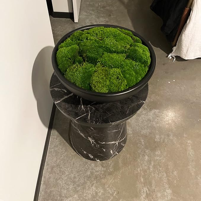 Preserved Pole Moss Pillow Bun Cushion Natural Green Decorative Real Natural Green DIY Kit Terrariums Gardenning Art Wall Decor Florist Decor Easter Table Decor Wedding(12.0 sq.ft., Green-B)