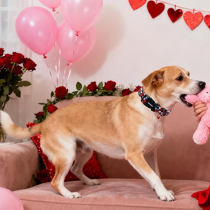 DOGWONG Red Heart Dog Collar, Cute Valentine Collar, Valentine's Day Dog Collar with Strong Plastic Buckle for Small Medium Large Dogs,XS