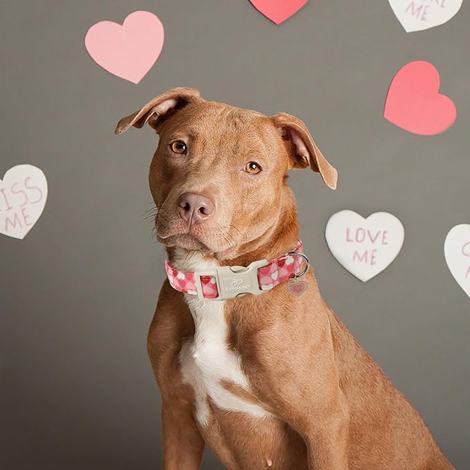 Valentines Dog Collar for Medium Dogs - Cute Valentine Pink Hearts Girl Dog Collars, Adjustable Girly Puppy Collar with Quick Release Buckle for Female Dogs M