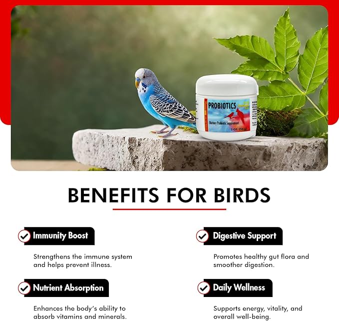 Morning Bird Probiotics for Birds 2 oz – Digestive Health Supplement Supporting Gut Balance, Nutrient Absorption & Immune Support – Easy Mix Powder Supplement for All Bird Species