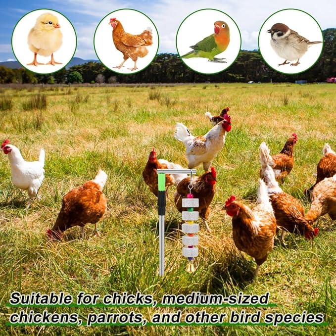 2 Pack Chicken Chewing Toy, Adjustable Chicken Toys for Coop with Volcanic Stone, Multi-Functional Chicken Coop Accessory for Chickens, Birds, Rodents & Small Pets