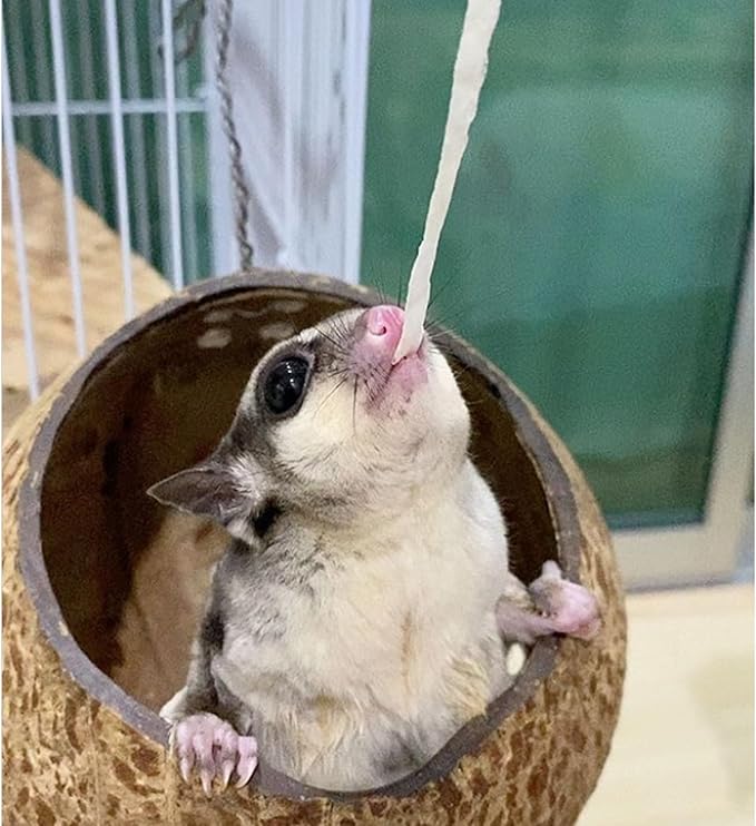 Omega YUMS Fish Stick Treat for Sugar Gliders | All Natural & Made with Real Fish 2 oz