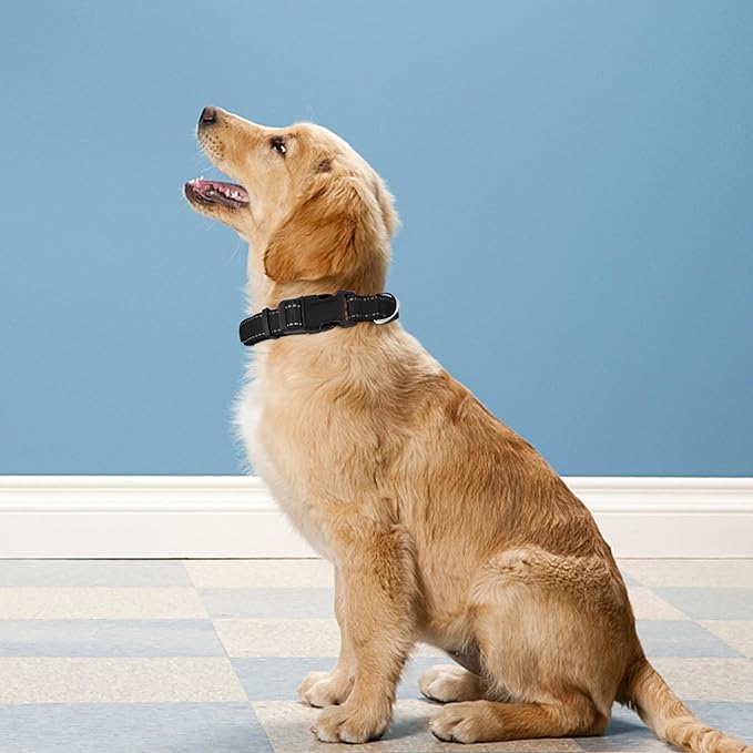 Reflective Dog Collar, Adjustable Soft Neoprene Padded Nylon Pet Collars with Buckle for Puppy and Small Dogs, Cats, Black,XS