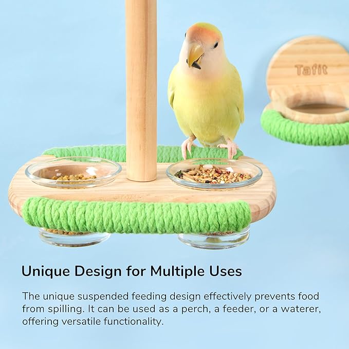 Bird Feeder & Perch – Includes Cotton Rope Perch and Glass Feeding Cup – Cage Accessory for Cockatiels, Budgies, Lovebirds, Conures, Canaries, Finches, and Small Parrots