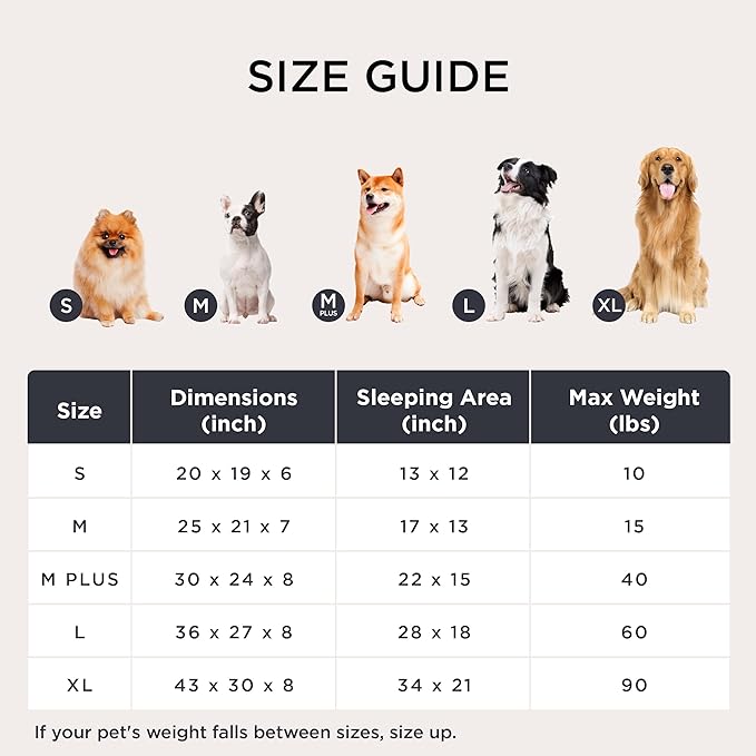 Bedsure Washable Dog Bed for Medium Dogs - Cute Furry Puppy Beds, Rectangle Orthopedic Corduroy Fleece Pet Beds with Removable Zipper Cover, 20x19x6inches, Blue