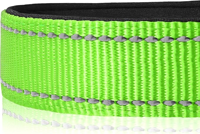 Joytale Reflective Dog Collar, Soft Neoprene Padded, Metal D-Ring, Nylon Pet Collar Adjustable for Medium Dogs, Green, M