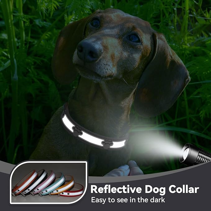 PETCARE Reflective Dog Collar with Cute Paw Rivet Studded Funny Soft PU Leather Adjustable Puppy Dog Collars for Small Medium Large Dogs Cats (Black,Medium)