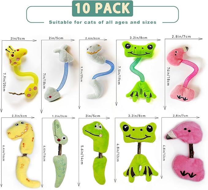 Interactive Cat Toys Set, Silvervine Chew Sticks and Cat Spring Toy, Indoor Catnip Toys for Exercise and Dental Care, for Adult Cats and Kittens (10 Packs)