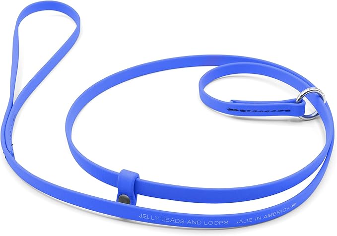 Jelly Pet Grooming Lead for Dogs | Great for Kennels, Veterinarians and Dog Grooming Salons | Biothane Leash - Easy to Clean, Waterproof & Durable Noose Loop | Made in The USA | 5/8" x 6' Royal Blue