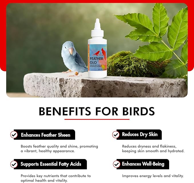 Morning Bird Feather Glo 4 Oz – Palm Oil Supplement for Birds – Supports Pet Skin Treatment Spray, Feather Shine & Immune Health – Vitamin, Mineral & Energy Support for All Bird Types