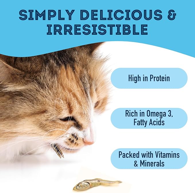 The Granville Island Pet Treatery Sardines for Dogs & Sardines for Cats (3.17 oz, Pack of 1) - Dehydrated Single Ingredient Dog Treats - All Natural Dog Treats, Grain Free – Dog Training Treats
