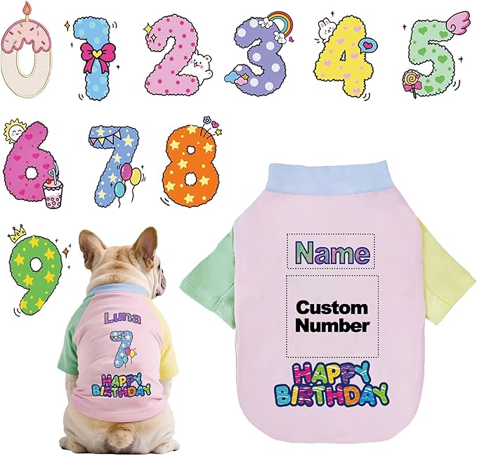 Custom Dog Birthday Shirt,Personalized Pet Apparel Print with Name Age Number,Pet Birthday Outfit,Lightweight Breathable Cotton Vest for Small Medium Large Dogs Cat (Dopamine Pink, X-Large)