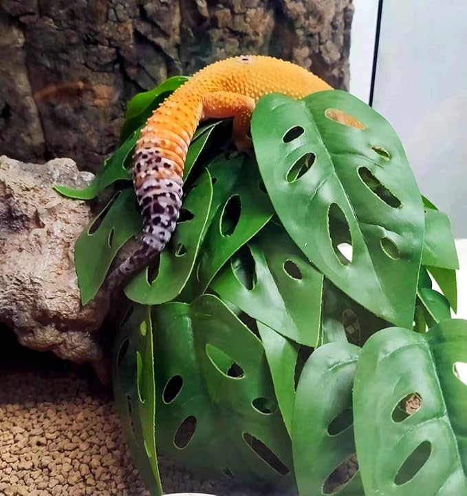 Reptile Plants for Terrarium Decor,Amphibian Habitat Decor, Bearded Dragon Tank Accessories,Artificial Plants for Gecko Chameleon Snake Tortoise with Base (Swiss Cheese)