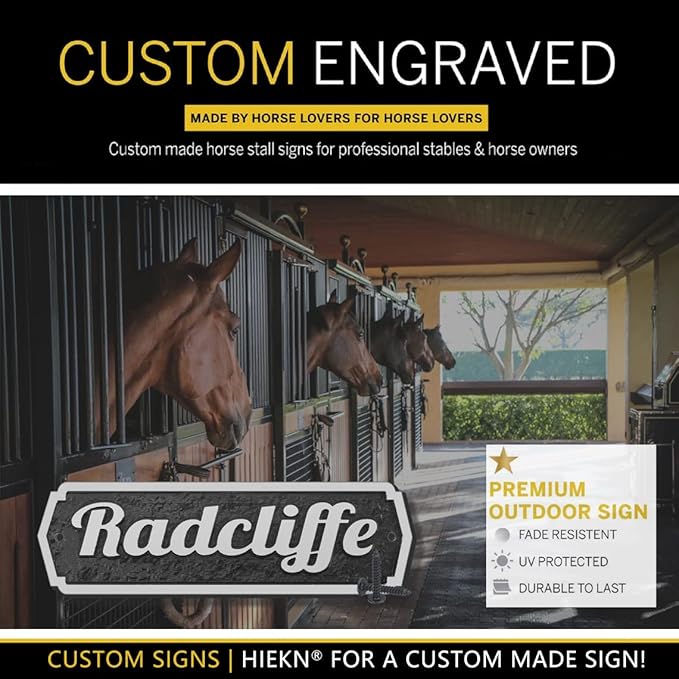 Acrylic Horse Stall Name Plate, 2.4" x 8" Personalized Stall Signs, UV Protected, Custom Pet Name Sign, All Weather Adhesive, Mounting (Silver, Style 1)