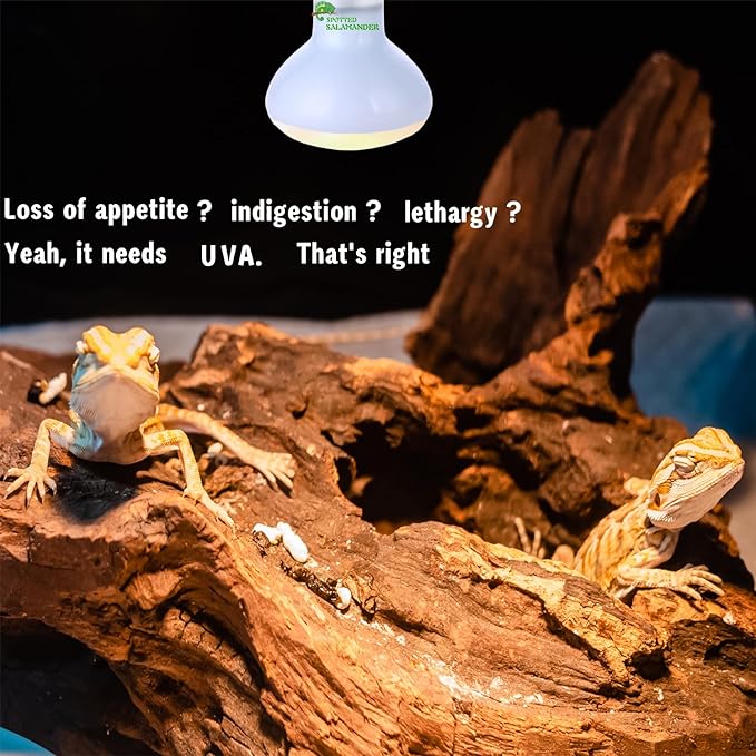 Reptile Heat Lamp Used in Reptiles 75W 100W Heat Lamp Bulbs for Reptiles 2 Pack Amphibians Basking Heat Lamp Bulbs UVA Daylight Basking Light (50Watts)