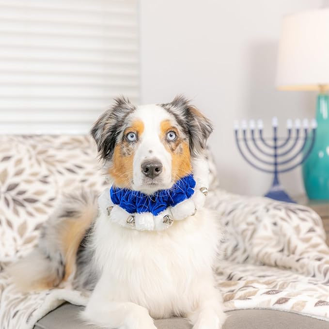 Huxley & Kent Ruff Pet Scrunchy | Hanukkah (Extra-Large) | Festive Christmas/Holiday Neckwear for Dogs/Cats | Fun Stretchable Costume Accessory | Soft Collar with Bells