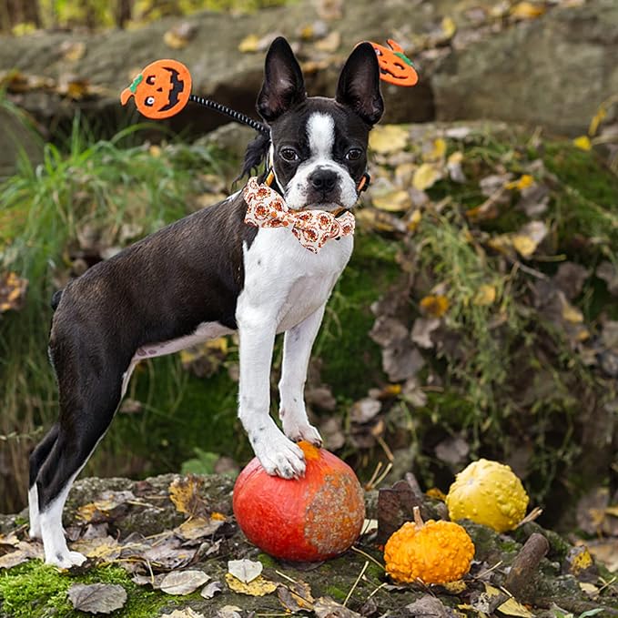Dog Collar - Thanksgiving Turkey Dog Collar Gift Soft Bow Collar Adjustable Metal Buckle Pet Collar for Medium Dogs