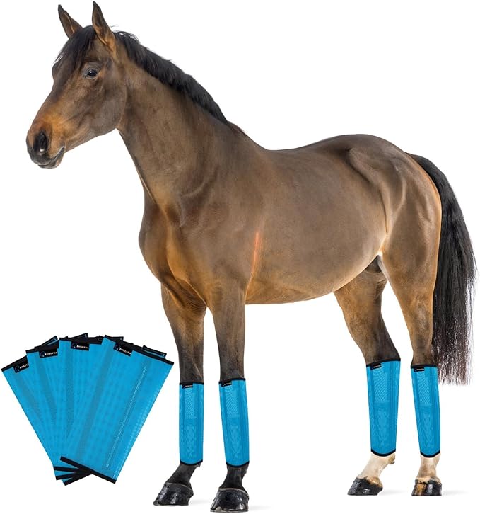 FOXLVDA Horse Fly Boots - Fly Boots for Horses Set of 4, Comfortable Horse Leggings, Mesh Material Design with Metal Support Bars for Reduces Stomping & Leg Fatigue (Blue, Large)