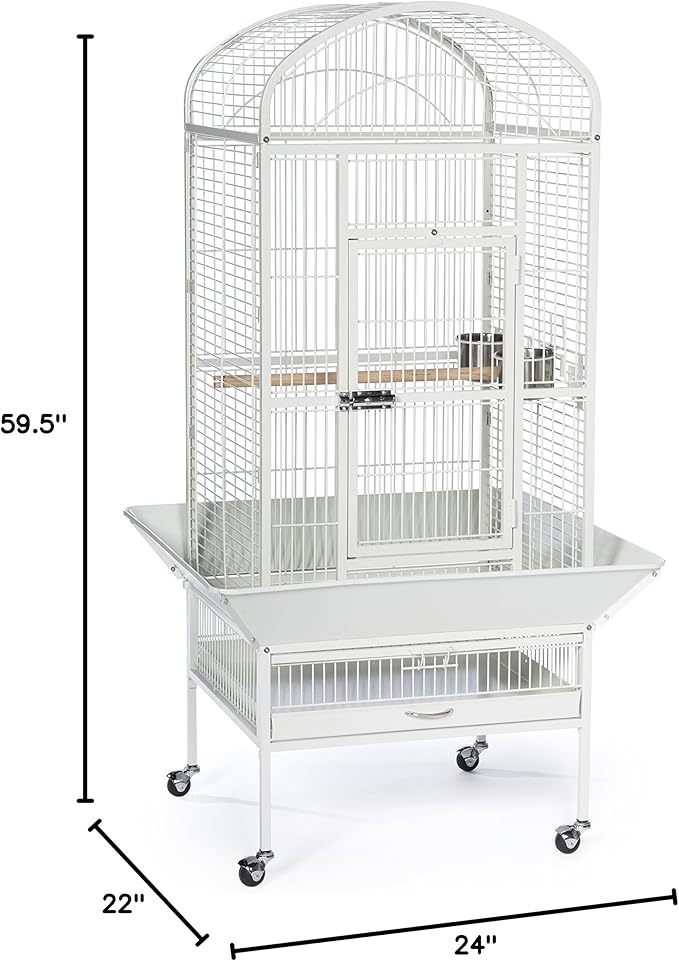 Prevue Pet Products 34522 Dometop Bird Cage, Large, Chalk White