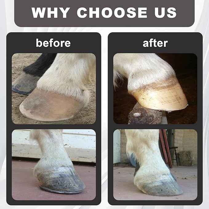 Wadoy Mini Hoof Rasp for Horses, Farrier Rasp for Goat Feet Hooves, Portable Hoof Trimming Tool, Ergonomic Grip to Removes Excess Hoof for Foals, Goats, Ponies & Donkeys Other Animals