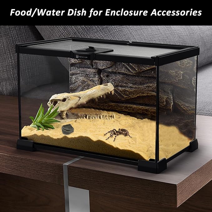 6 Pack Spider Micro Water Bowls, Mini Resin Dish for Tarantula, Spider, Millipede and Tiny Reptiles, Food/Water Dish for Enclosure Accessories(1.65" D, 0.59" H)