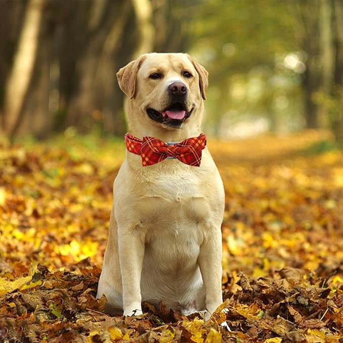 Fall Dog Collar, Pet Collar with Bow Plaid Dog Collar Girl Boy Holiday Puppy Collar Gift Bow Collar Soft Cute Collars for X-Small Puppy