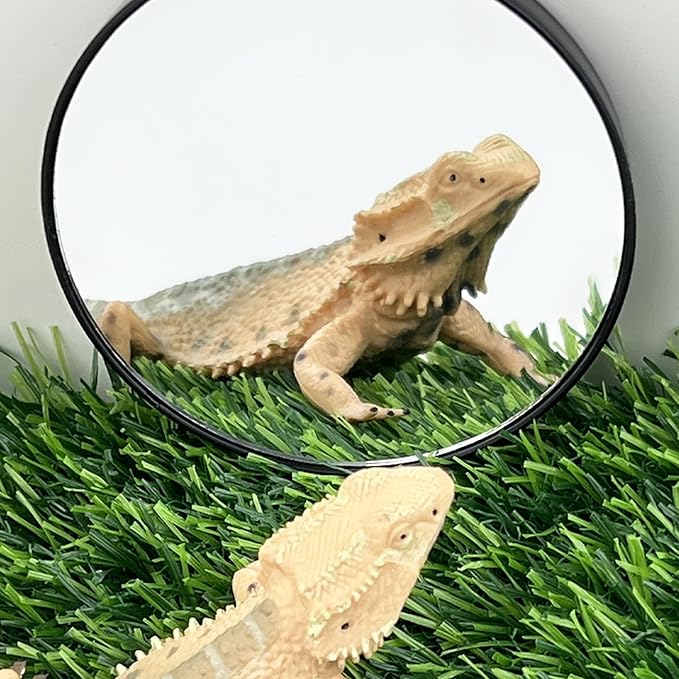FlidRunest 2 Pack 3.4 Inches Bearded Dragon Mirror Toy, Hermit Crab Mirror Toy with Suction Cups, Small Animal Tank Decor Accessories, Suitable for Bearded Dragon Hermit Crab Lizard Chameleon