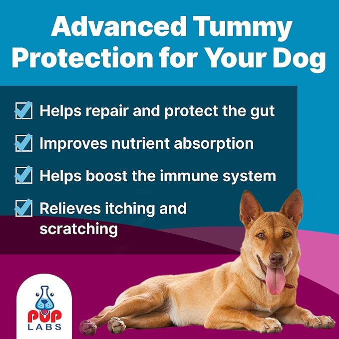 K9 Belly Bliss, All-Natural Gut Health for Dogs, Vet Approved Prebiotic for Dogs for Daily Digestive Support & Dog Constipation Relief, Topper for Dry & Wet Food, 3 Pack with 30 Scoops Each.