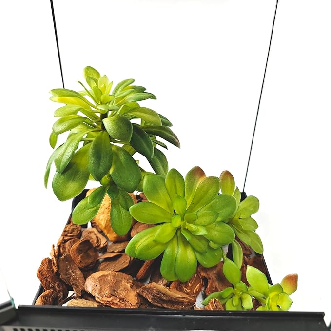 Woyrise Reptile Plants Succulent, Artificial Desert Plant for Terrarium Decor, Bearded Dragon Tank Accessories fit Gecko Lizard Chameleon Ball Python Snake - Sedum Palmeri