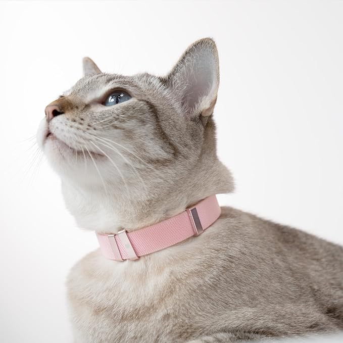 Safety Cat Collar - U.S. IDA Gold Award Design, Stretchy Elastic Quick Release Non Breakaway Cat Collar Light Weight for Kitten All Small Medium Large Cats (Olive, M (7.8-15.7 inch))