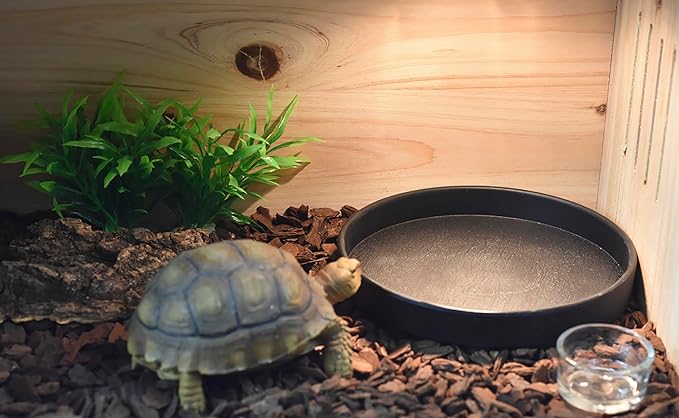 OMEM Reptile Food Bowl Water Dish,Feeding Dish, Birds Bowl (M, Black)