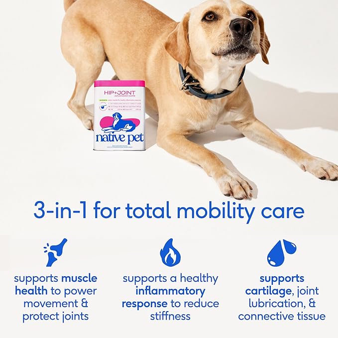 Native Pet Advanced Care - Hip & Joint Supplement for Dogs - Supports Joints, Cartilage, Muscles & Anti-Inflammatory with HMB, UC-II Collagen, Green Lipped Mussel & Hyaluronic Acid - 120 Scoops
