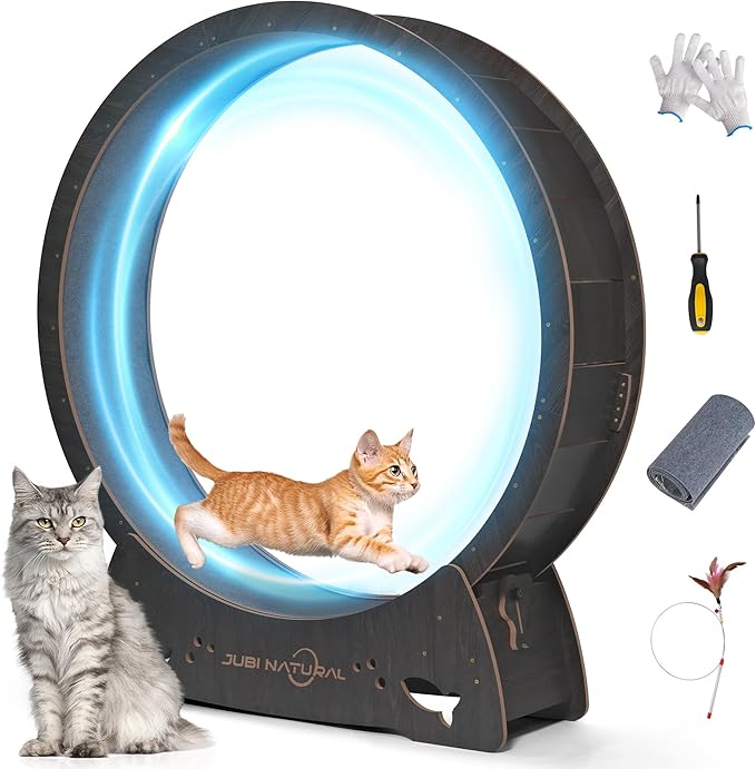Cat Exercise Wheel, 50" Cat Running Wheel for Indoor Cats with Locking Mechanism, Cats Treadmill Wheels with Quiet Carpeted Runway, Cat's Weight Loss and Health - Black