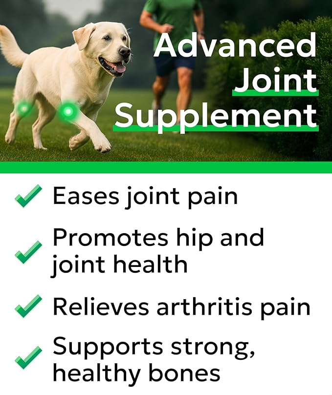 Glucosamine Chondroitin Dog Hip & Joint Supplement - Joint Pain Relief - Hip & Joint Chews for Dogs - Joint Support Large Breed - Senior Doggie Vitamin Pills Joint Health - (240 Treats - Bacon)