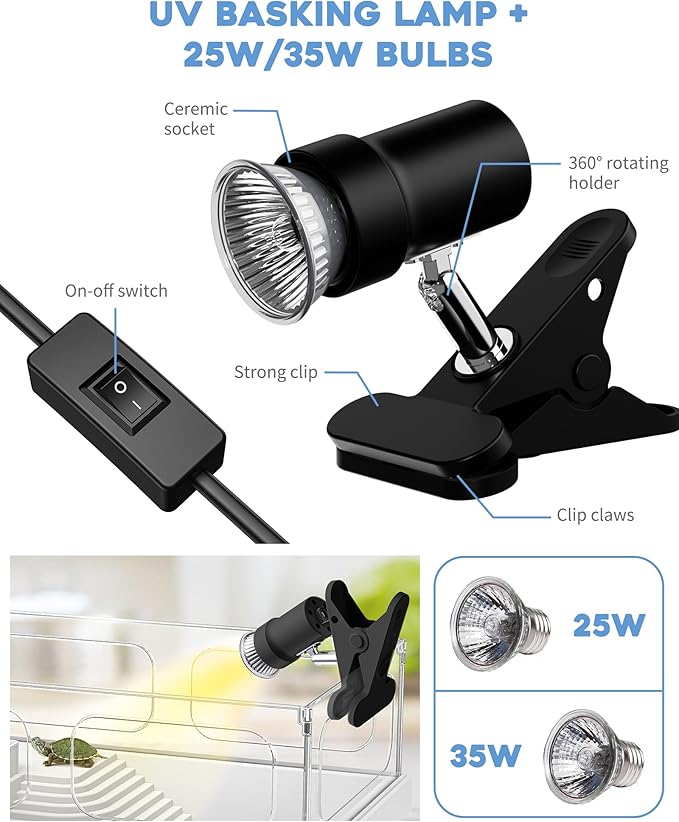 Small Turtle Tank Kit(Tank+Light+Filter), Acrylic Turtle Tank Starter Kit with Basking Platform, Bottom Drainage, Multi-Function Areas for Turtles, Crayfish, Small Reptiles.(White+Black)
